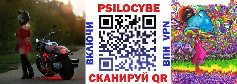 мега ссылки  Электрогорск  Псилоцибиновые грибы прущие грибы 