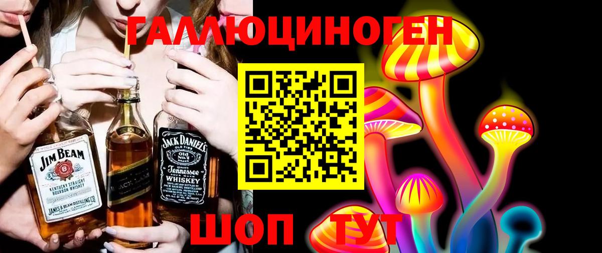 Псилоцибиновые грибы мухоморы  Вход с VPN  Электрогорск  Галлюциногенные грибы Psilocybe 